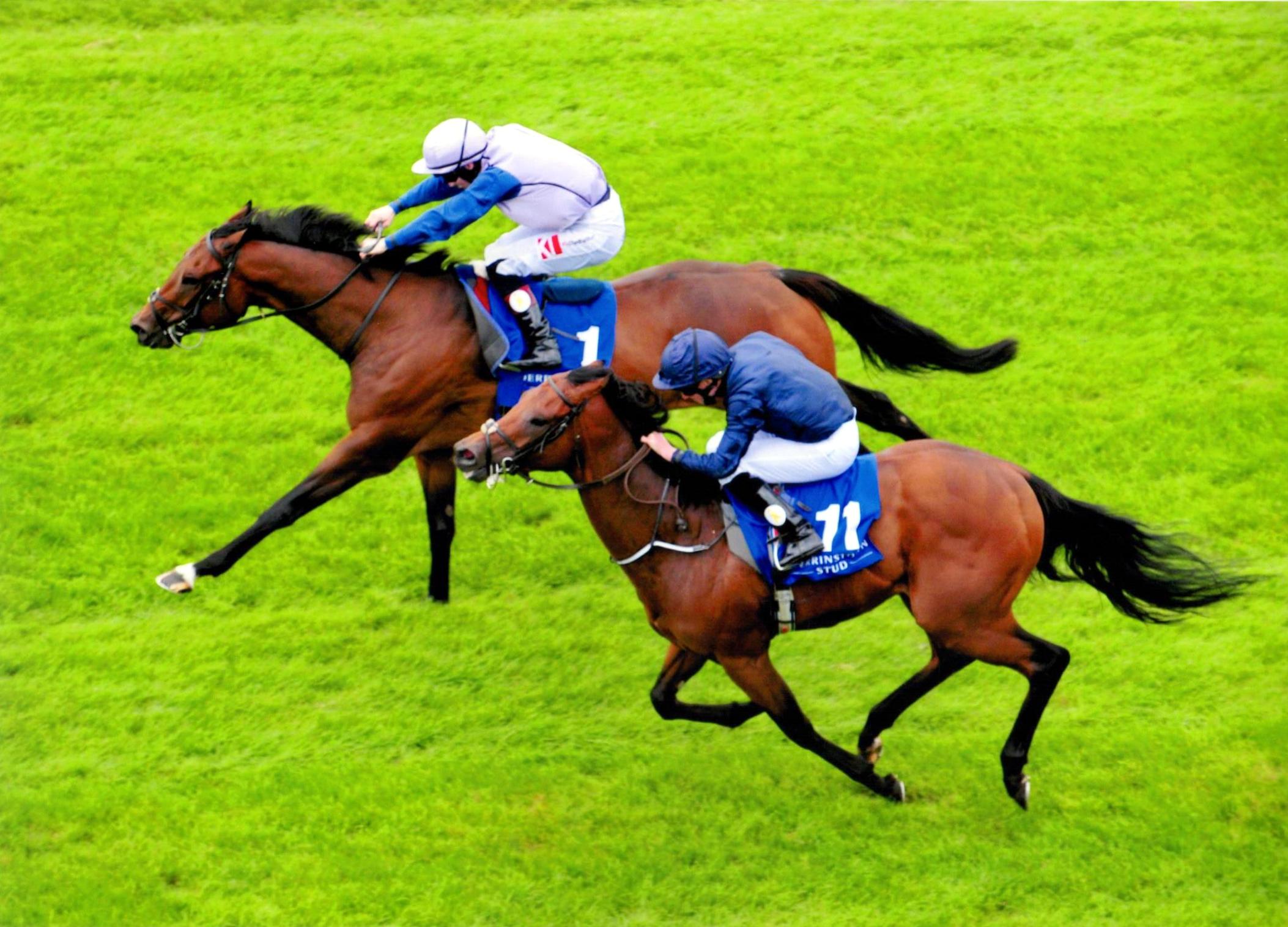 ARDHOOMEY takes the Derrinstown Flying Five Gr 2 at The Curragh 11th September 2016